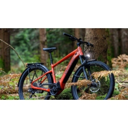 Zestaw błotników SPECIALIZED Tero EQ kit