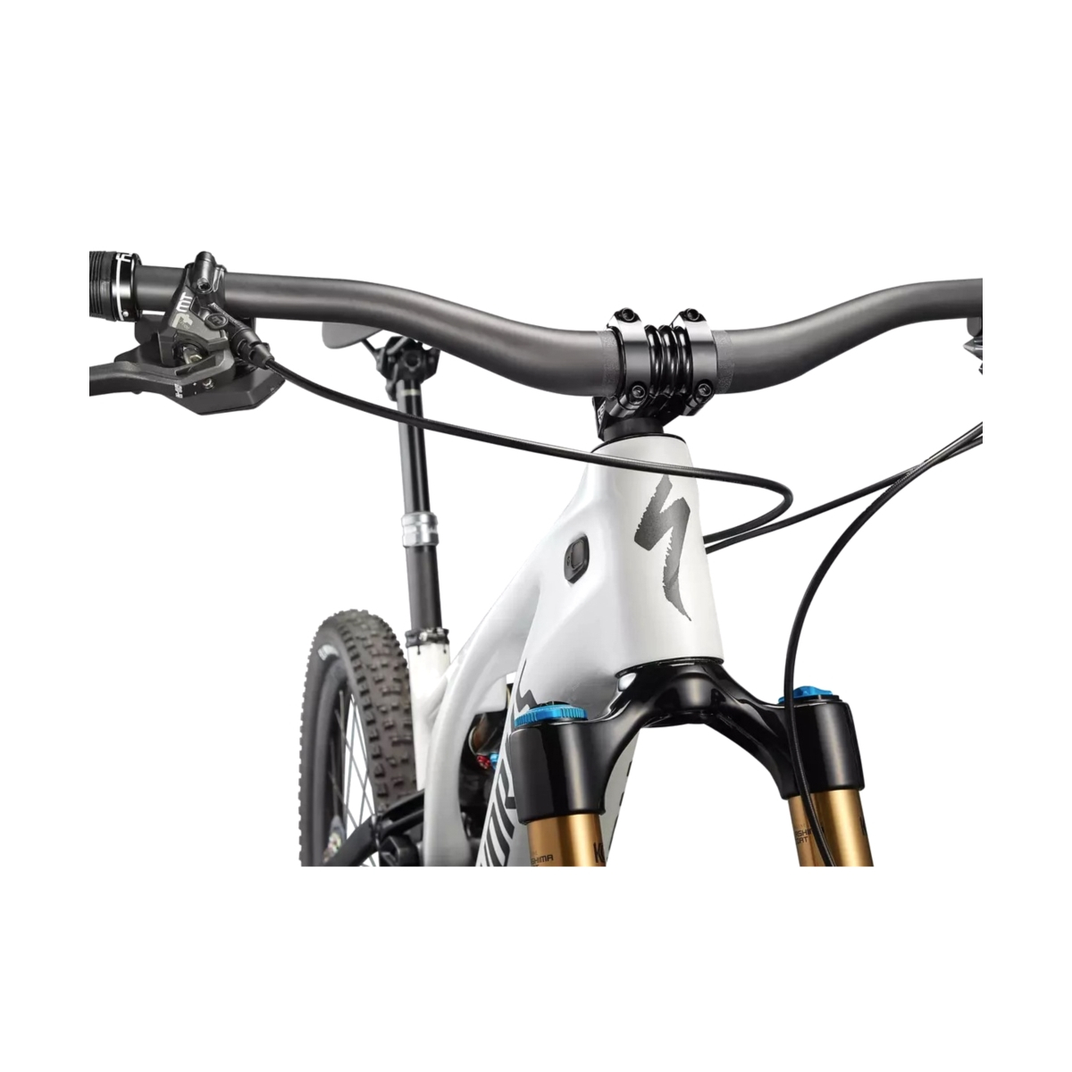 Rower SPECIALIZED S-works Turbo Levo WhtSilver22