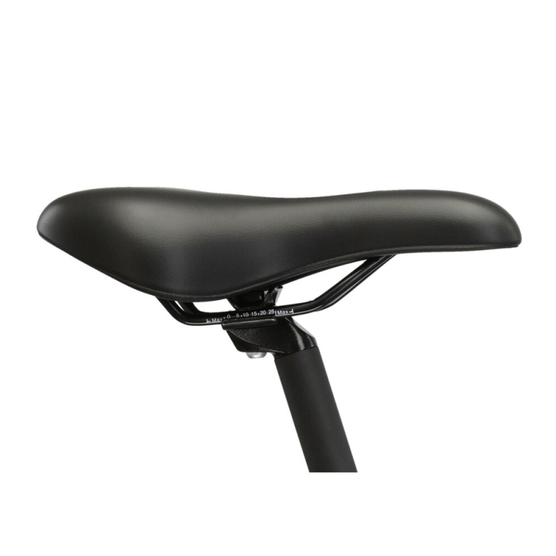 Rower górski KROSS Lea 1.0