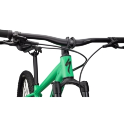 Rower górski SPECIALIZED Rockhopper Expert 29