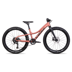 Rower młodzieżowy UNIBIKE Rock