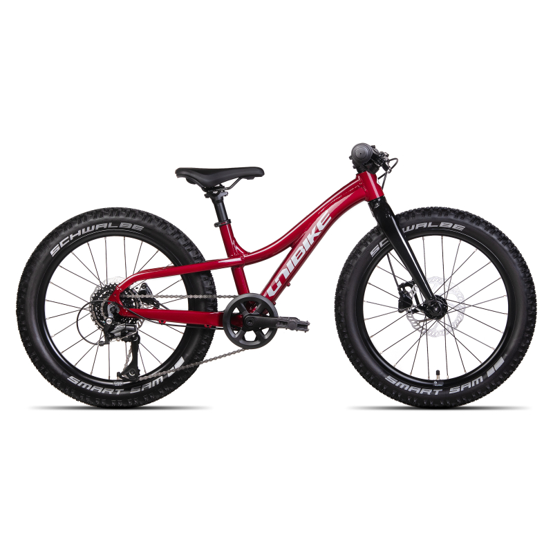 Rower dziecięcy UNIBIKE Dart