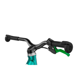 Rowerek biegowy WOOM GO 1