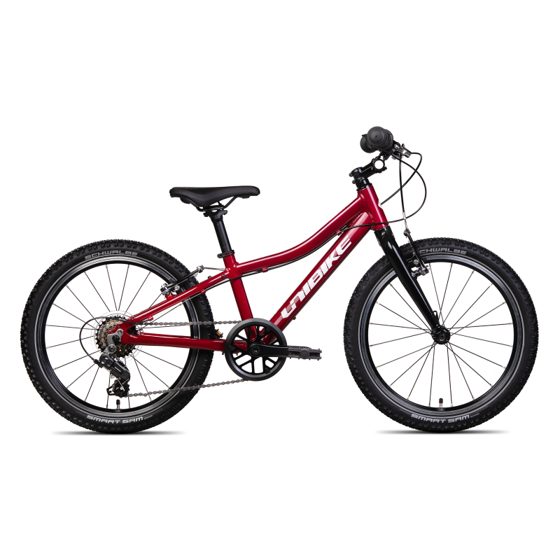 Rower dziecięcy UNIBIKE Twist