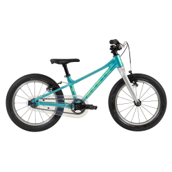 Rower dziecięcy MARIN Coast...