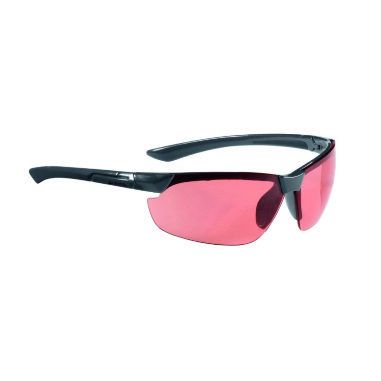 ALPINA OKULARY DRAFF ALPINA OKULARY DRAFF