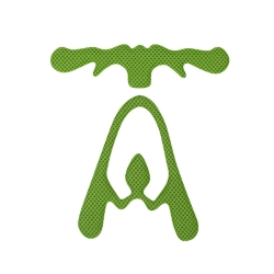 Wkładka do kasku KASK Rapido