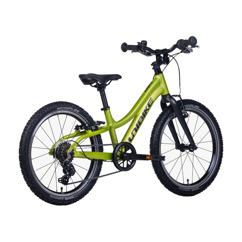 Rower dziecięcy UNIBIKE Twist