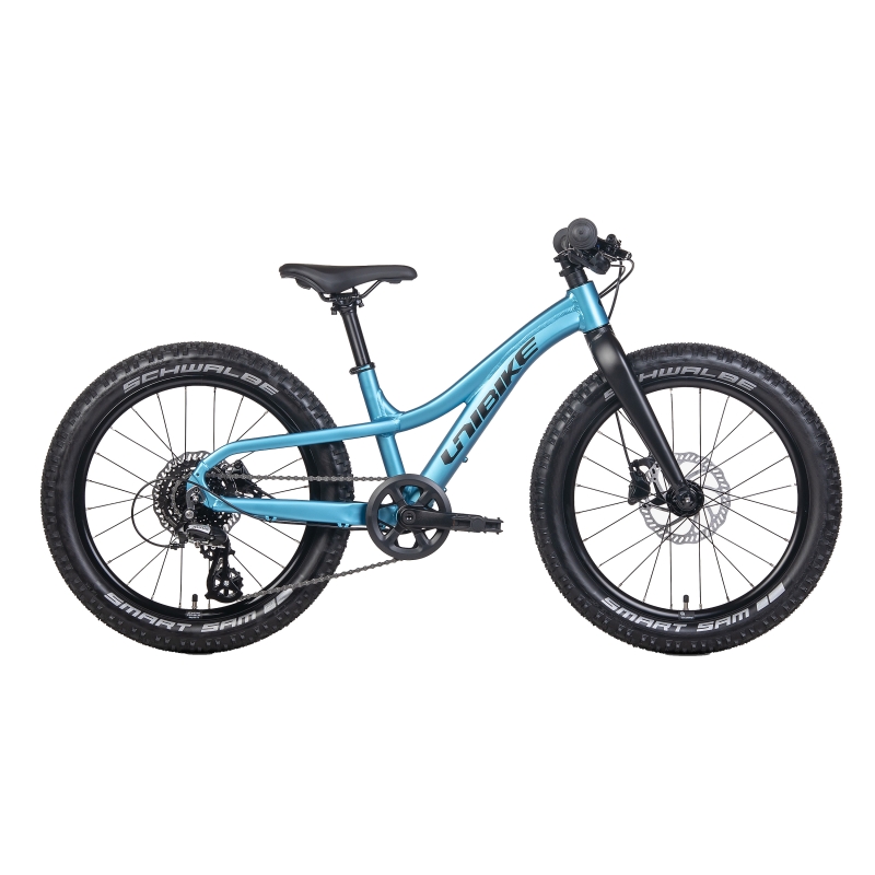 Rower dziecięcy UNIBIKE Dart