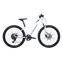 Rower górski UNIBIKE Move 26