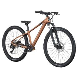 Rower młodzieżowy SCOTT Roxter 600