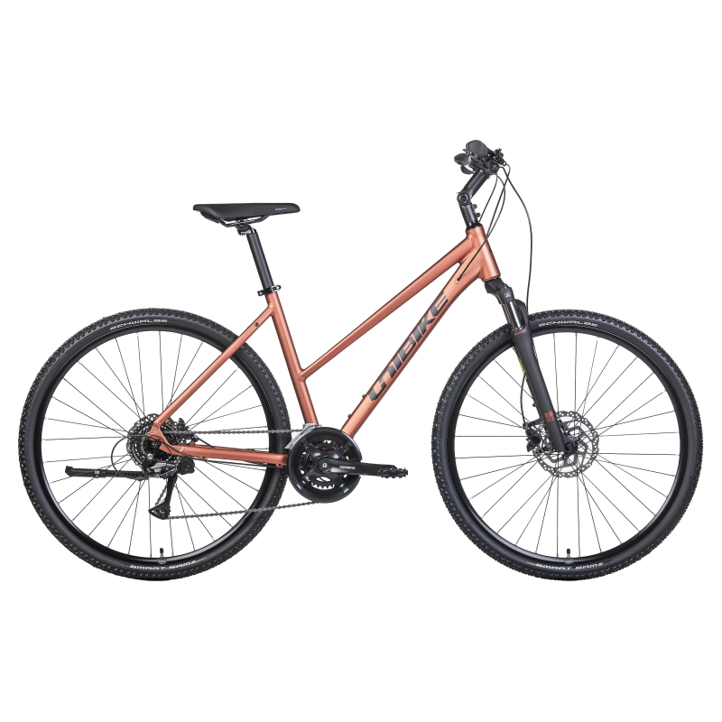 Rower crossowy UNIBIKE Flash LDS
