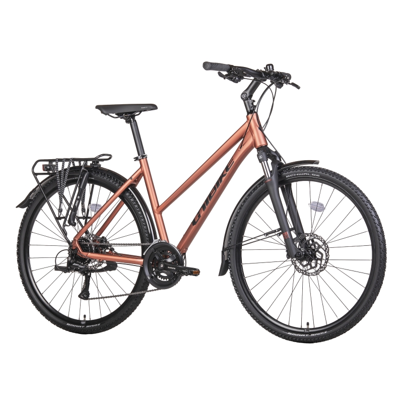 Rower crossowy UNIBIKE Flash EQ LDS