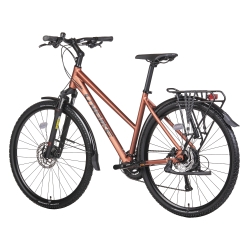 Rower crossowy UNIBIKE Flash EQ LDS