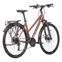 Rower crossowy UNIBIKE Flash EQ LDS