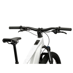 Rower elektryczny górski KROSS Dust Boost 1.0