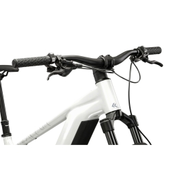 Rower elektryczny górski KROSS Dust Boost 1.0