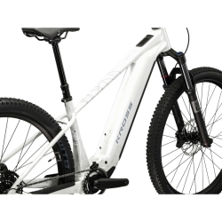 Rower elektryczny górski KROSS Dust Boost 1.0