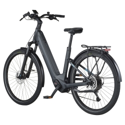 Rower elektryczny trekkingowy BERGAMONT E-Horizon Sport 20 Wave