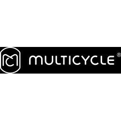 Multicycle